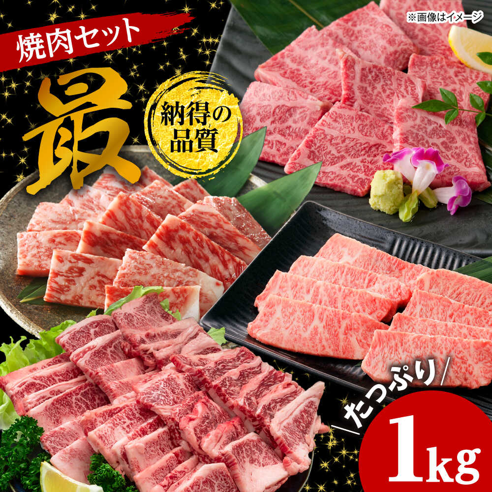 【ふるさと納税】焼肉セット 味付き 最 1kg / 肉 牛肉 牛 焼肉 焼き肉 やきにく BBQ バーベキュー キャンプ アウトドア セット 詰め合わせ 食べ比べ 国産 冷凍 小分け ロース ハラミ カルビ 上カルビ 1kg 味付き タレ ギフト / 大阪府藤井寺市/株式会社 松屋[BLCD003]