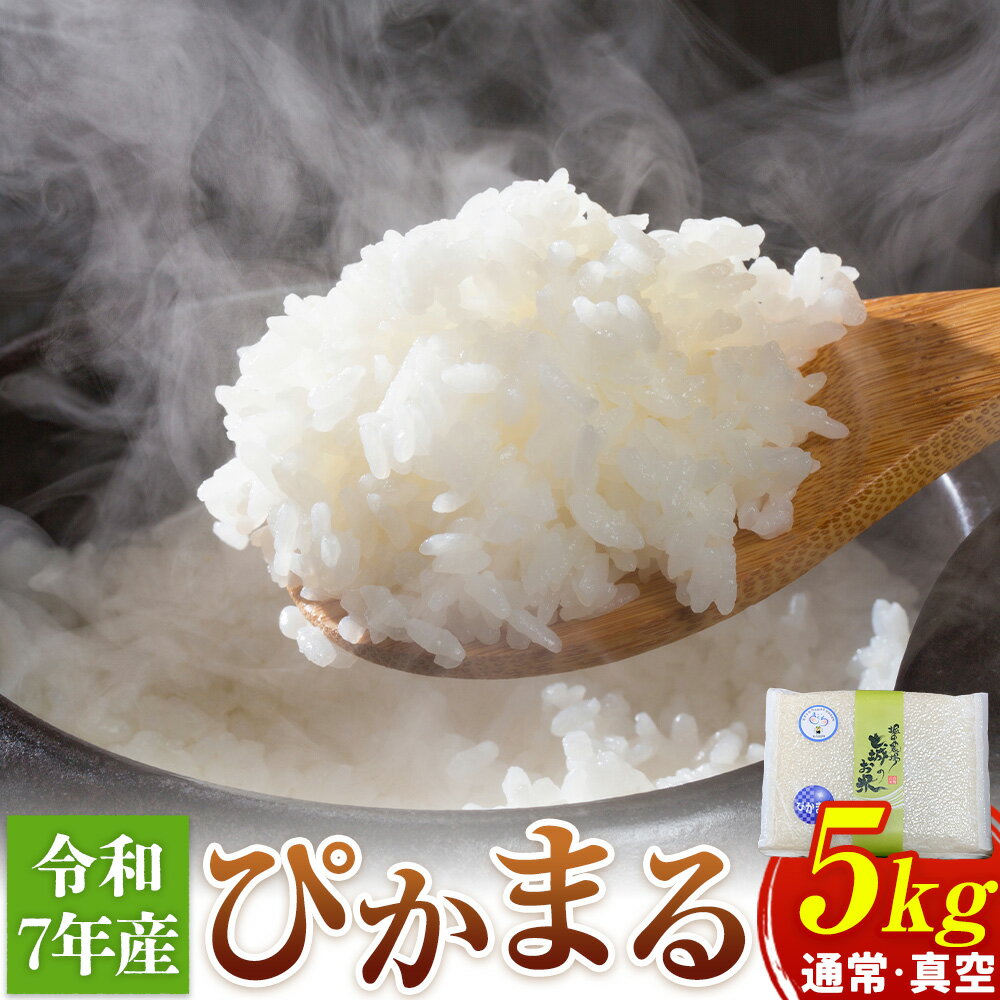【ふるさと納税】七城のお米 ぴかまる 5kg 通常 真空 白米 精米 令和7年産 堀田農場《30日以内に出荷予定(土日祝除く)》お米 熊本県 菊池市 熊本県産 九州産 送料無料