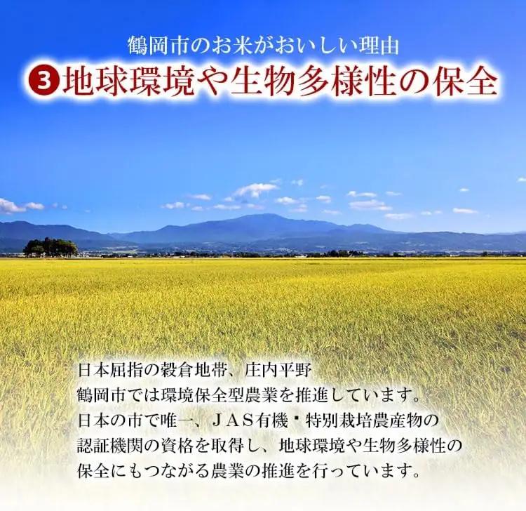 【令和7年産】【3ヶ月定期便】はえぬき 精米 5kg×3回 計15kg 山形県 庄内産　米食味鑑定士お薦め　| 5キロ 定期便 白米 精米 美味しい お米 米 コメ こめ ブランド米 ご飯 ごはん 鶴