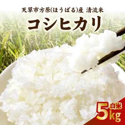 ふるさと納税 天草市 天草市方原産　白米(コシヒカリ)5キロ【先行受付】_S150-003