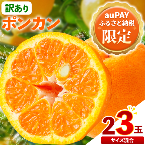 【三太郎の日限定】訳あり ポンカン  23玉《2月中旬-3月中旬頃出荷》熊本県 葦北郡 津奈木町 ポンカン みかん 柑橘 送料無料