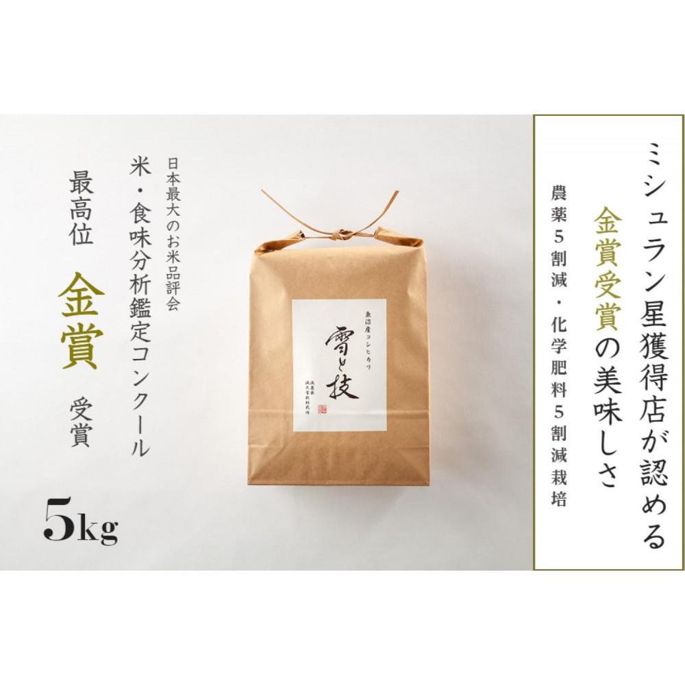 【ふるさと納税】【 令和7年産 新米 予約】魚沼産コシヒカリ 雪と技 5kg(5kg×1袋) 1回～12回 金賞受賞 農薬5割減・化学肥料5割減栽培 藤ノ木株式会社