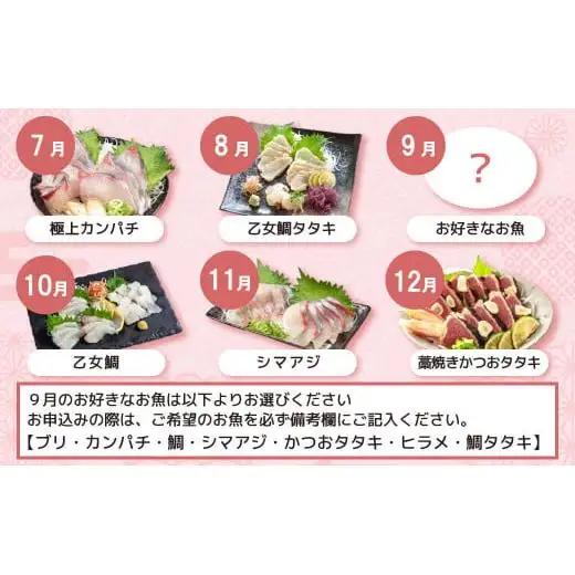 【 刺身 】 刺身定期便 12ヶ月