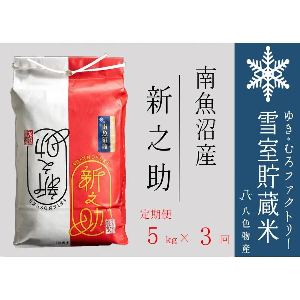 【令和７年】新之助【定期便5kg×3回】雪室貯蔵米 南魚沼産【定期便 銘柄米 ブランド米 精米 新之助 魚沼産 新潟米 新潟県産 産地直送 ご飯 御飯 ごはん お米 米 こめ コメ】