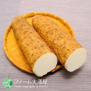 山形村産 ながいも 2-4L 約10kg 41-03