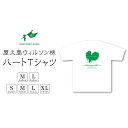 【ふるさと納税】屋久島ウィルソン株ハートTシャツ (白地) | tシャツ 屋久島 メンズ レディース 半袖 半袖tシャツ ティシャツ ティーシャツ 鹿児島県 おしゃれ お取り寄せ ギフト プレゼント