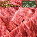 【ふるさと納税】あか牛 阿蘇溶岩焼きセット にんにくレモンステーキ 300g 溶岩プレート付き レモン胡椒 レモンだれ ガーリックスパイス付き 熊本うまかもん大サーカス グランプリあかうし 牛 牛肉 和牛 ステーキ サーロイン 焼肉 阿蘇 熊本産 九州 国産 送料無料