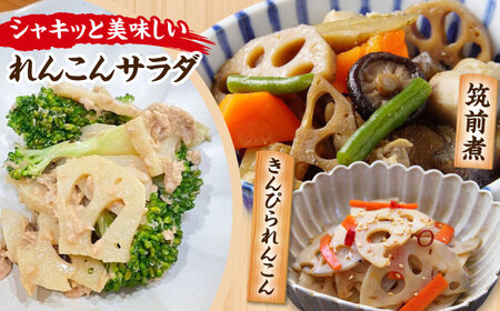 【先行予約】産地直送！土付き蓮根（5kg）【清水食品株式会社】 れんこん レンコン 愛知県産 野菜 産地直送 愛西市/ 清水食品株式会社[AEAJ002]