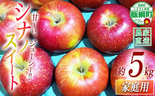 りんご シナノスイート 家庭用 5kg 松澤農園 沖縄県への配送不可 2026年10月下旬頃から2026年11月中旬頃まで順次発送予定 令和8年度収穫分 長野県 飯綱町 [0499]
