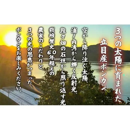 【 ぽんかん 】 ぽんかん早期予約訳あり5kg