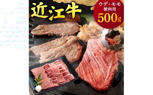 B-F12 近江牛 ウデ ・ モモ 焼肉用 500g  本多商店 牛 牛肉 国産 和牛 ブランド牛 赤身 焼肉 焼き肉 やきにく 炒め物 煮物 ギフト 贈り物 高級 人気 近江 東近江市 滋賀県