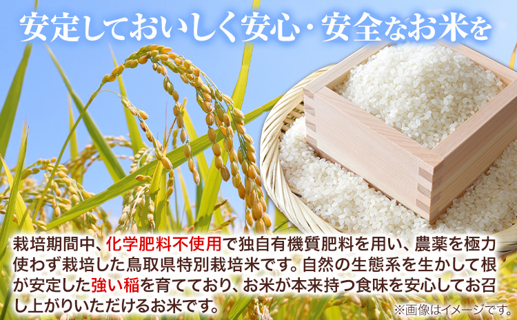 特別栽培米 コシヒカリ 10kg（5kg×2袋）有限会社 田中農場《90日以内に出荷予定(土日祝除く)》鳥取県 八頭町 米 お米 ご飯 送料無料