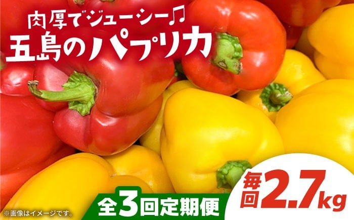 
            【3回定期便】 【肉厚パプリカ】五島のパプリカ 約2.7kg 五島市/HPIファーム [PCP004] 野菜 やさい 国産 新鮮 緑黄色野菜 産地直送 とれたて
          