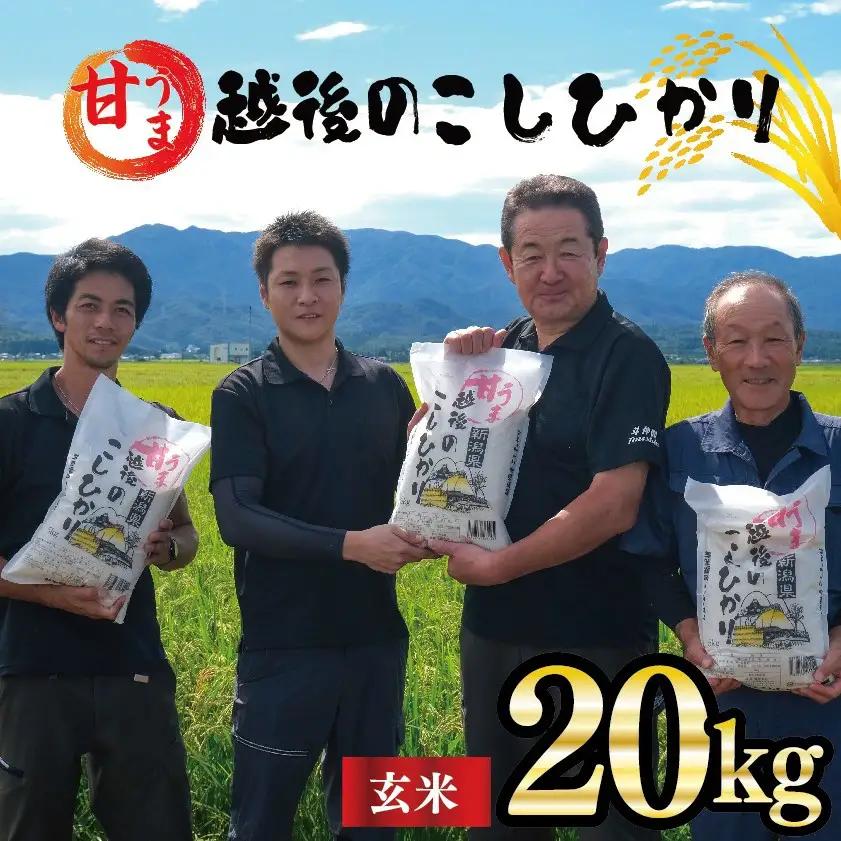 新潟産 コシヒカリ 玄米 20kg 令和7年産 甘うま越後のこしひかり コシヒカリ 玄米 toushin035_02