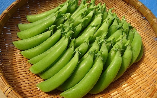 
            米津農園 スナップ エンドウ 2kg 高知県 黒潮町産 スナップエンドウ 豆 エンドウ エンドウ豆 スナックエンドウ さやえんどう 野菜 サラダ 天ぷら 塩ゆで 炒め物 お弁当 新鮮 期間限定 季節限定 旬 ［1430］
          