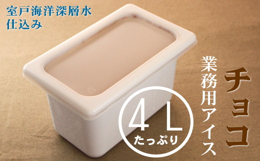 
            アイス アイスクリーム チョコ チョコレート スイーツ 業務用 大容量 4L 濃厚 ビター 甘さ控えめ コク深い カカオ 使用 なめらか 食感 本格 手作り ご当地 デザート カフェ レストラン ホテル 家庭用 人気 ギフト プレゼント ご褒美 贈答用 冷凍 高級 お取り寄せ 定番 スイーツ ご当地 人気 ふるさと納税 高知県 室戸市
          