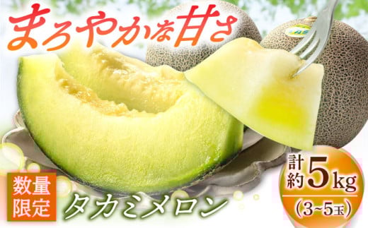 【2026年先行予約】 タカミメロン 約5kg（3〜5玉）メロン先行予約 島メロン《小値賀町》【ながさき西海農協小値賀地区園芸部会】[DAT001] めろん 青肉 甘い ジューシー メロン フルーツ 果物 くだもの 贈答 ギフト プレゼント 高評価 産地直送 2026年6月中旬-7月初旬順次発送 [DAT001]