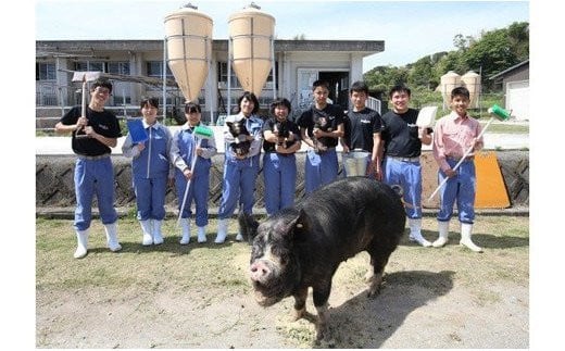 市来農芸高校産 黒豚ロース味噌漬け 100g×6袋(計600g)！豚 豚肉 肉 鹿児島 国産 黒豚 惣菜 味付き肉 味噌 みそ漬け おかず 冷凍 ギフト 贈答【エーエフ企画】【A-1116H】