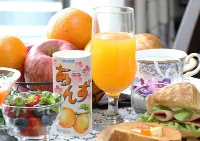 【12か月定期便】あんずエード 195g×30本 | あんずジュース