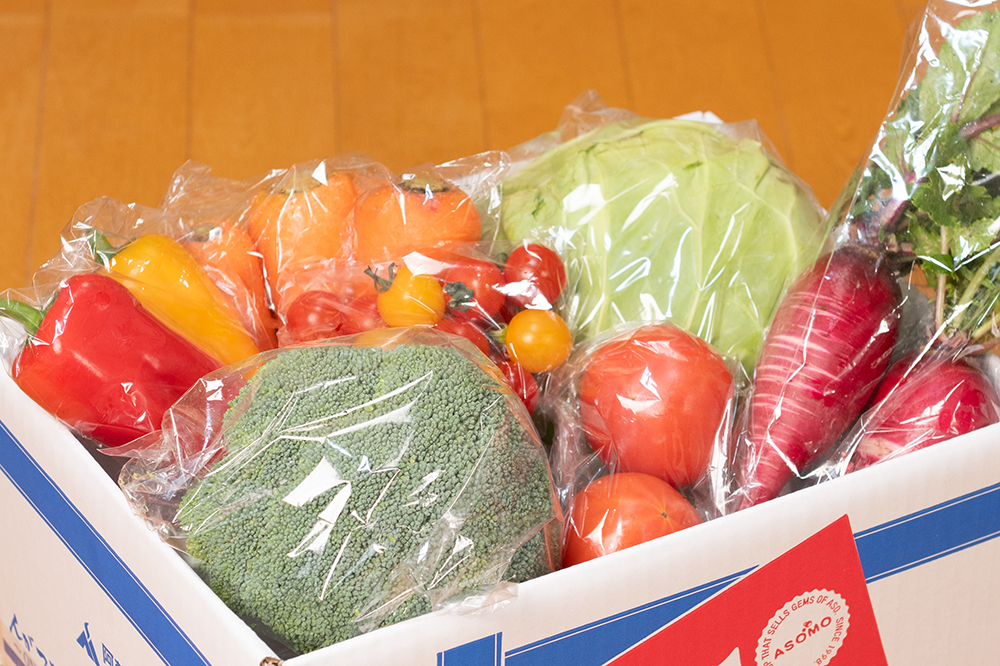 【阿蘇 郷乃舎】阿蘇高原 農家直送こだわり野菜と阿蘇特産品セット お野菜8~10品 ＋ASOMILK のむヨーグルト 野菜ソムリエ上級プロ厳選 ASOMILK のむヨーグルト 阿部牧場 郷乃舎 新鮮 