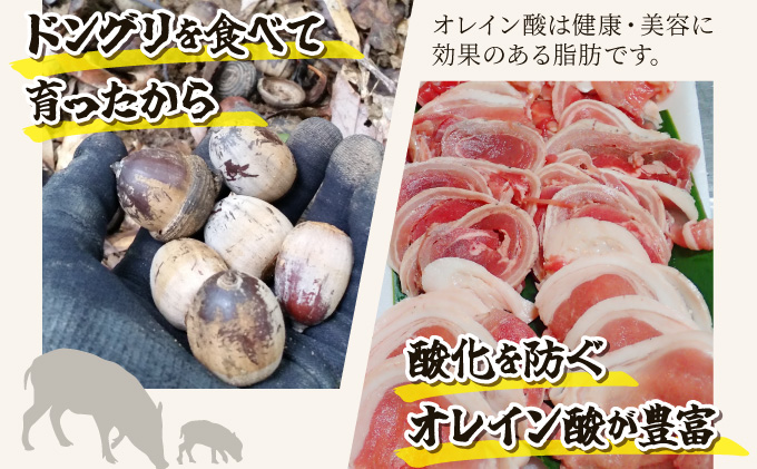 ジビエ イノシシ 肉 西表島産 スライス 200g×2パック