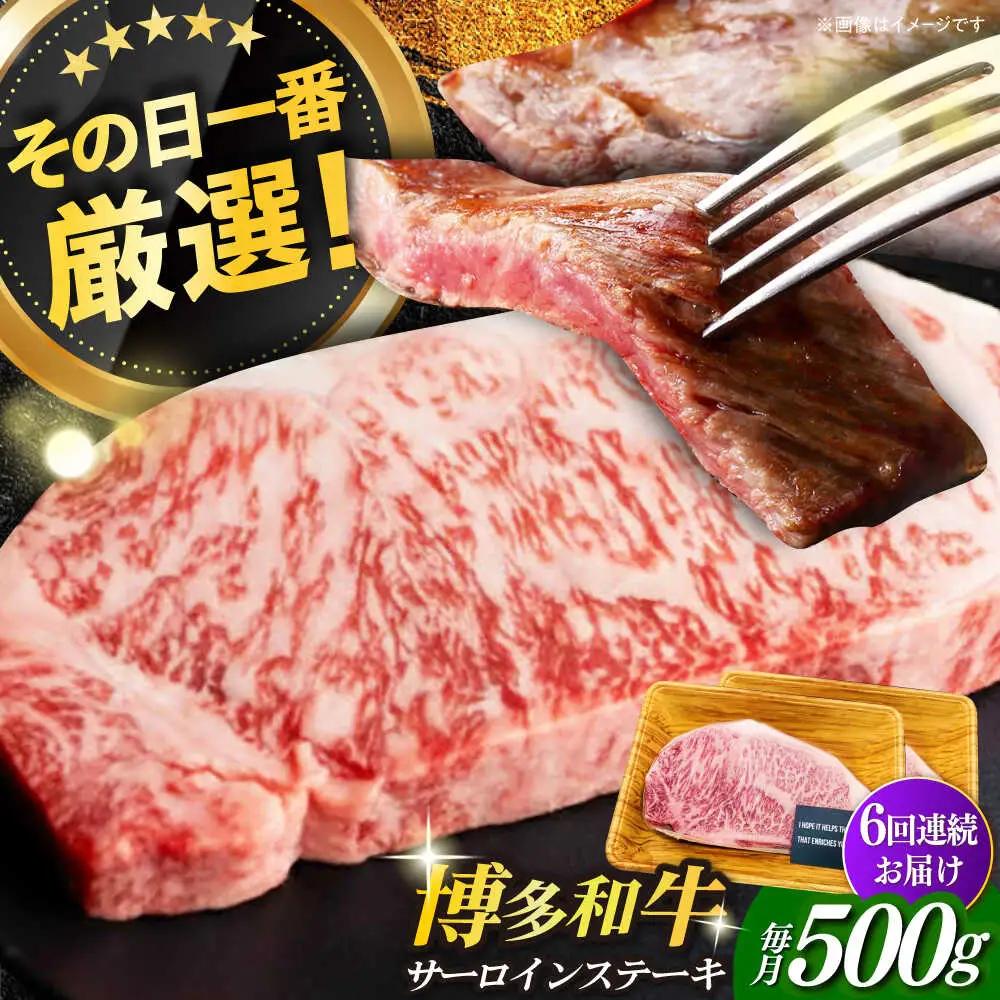 サーロイン 【全6回定期便】 500g（250g×2枚） [ABBP031] サーロイン