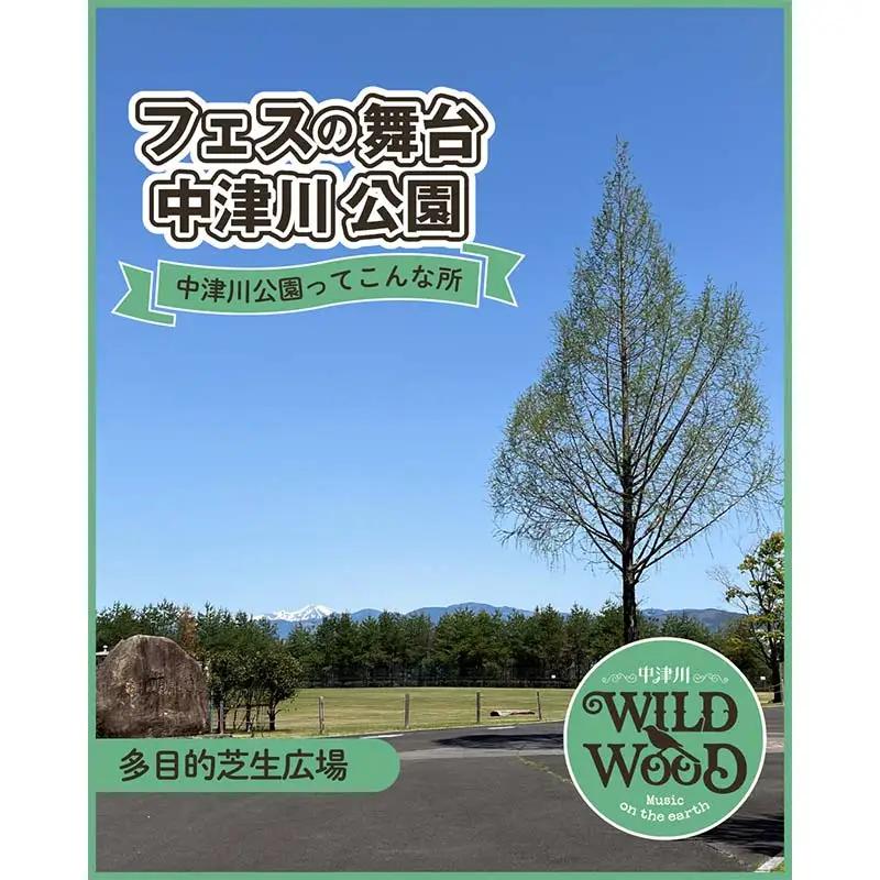 【数量限定】野外音楽フェス 「中津川 WILD WOOD 2026 」 9月20日 1日券（大人1名分） フェス ロック ミュージック 観光 旅行 イベント ロックフェス ライブ 音楽 祭 キャンプ 