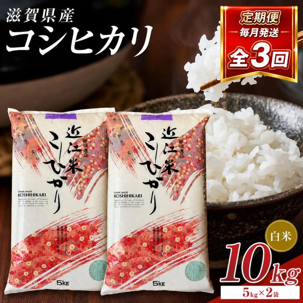 【令和8年産 新米 先行予約】近江米コシヒカリ白米10kg（5kg×2袋）×3回定期便※2026年9月～発送