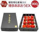 【ふるさと納税】博多 あまおう EX 贈答化粧箱入 約450g×2箱 合計約900g 国産 九州 福岡県産 イチゴ いちご 苺 果物 くだもの フルーツ 大玉 贈答品 予約 送料無料【2025年1月以降発送】[F2250]