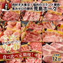 【ふるさと納税】【肉の定期便×12回コース】肉好き大集合！臭みゼロの豚肉「荒島ポーク」食べ比べ 定期便 【福井のブランド豚肉】[K-054001]|焼き肉 すき焼き しゃぶしゃぶ ステーキ 国産 豚肉 もも サシ とろける 甘み お取り寄せ 最高級 パック 小分け コンシェルジュ