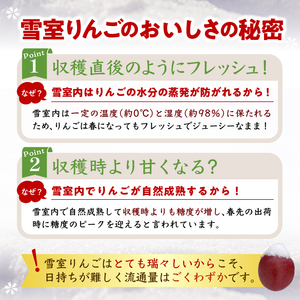【数量限定】 雪室りんご サンふじ 約2kg【2026年3月順次発送】 青森 りんご リンゴ 林檎 2キロ 贈答 ふじりんご 五所川原