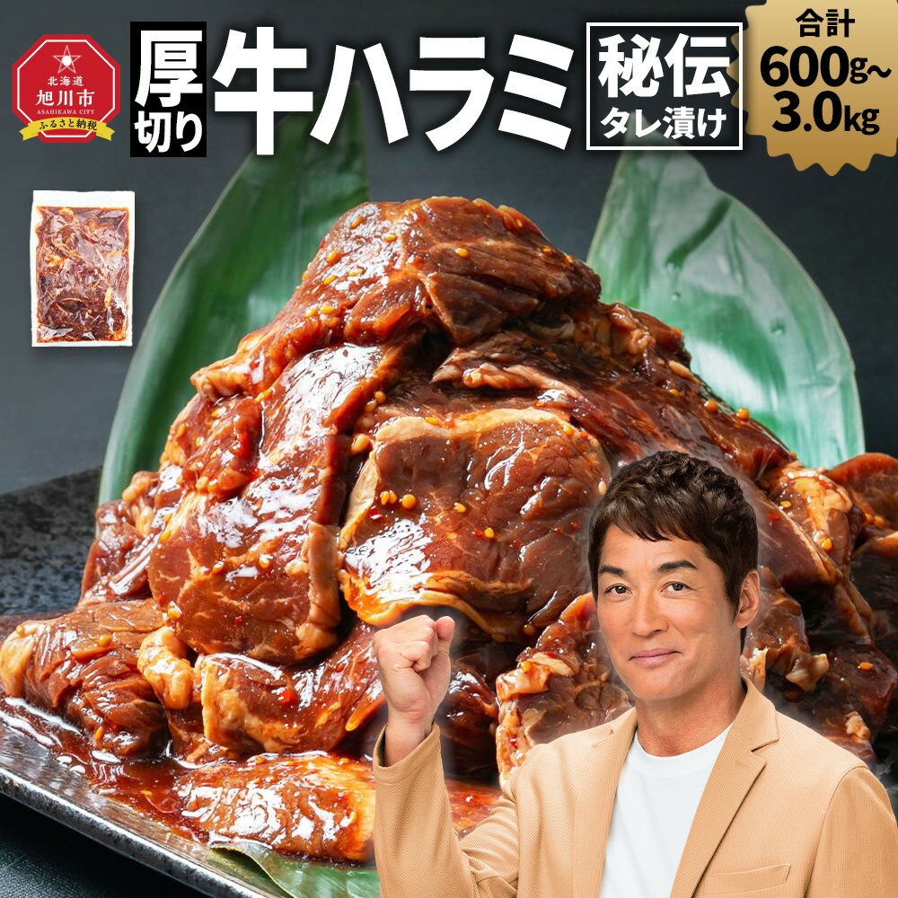 【ふるさと納税】厚切り！秘伝タレ漬け牛ハラミ（サガリ）※タレ込み_01551 | 牛肉 焼肉 焼き肉 タレ 漬け 厚切り にく 小分け 個包装 冷凍 セット BBQ アウトドア キャンプ 大人気