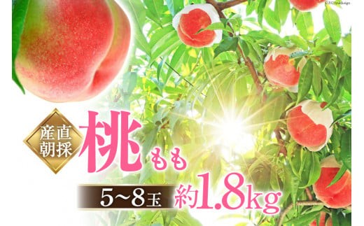 
                  山梨県中央市産 桃 約1.8kg ( 5～8玉 ) [ピーチファームなんば 山梨県 中央市 21470170] もも モモ フルーツ 果物 くだもの 1.8キロ 産地直送 期間限定 季節限定 【2026年6月下旬～8月上旬発送予定】
                