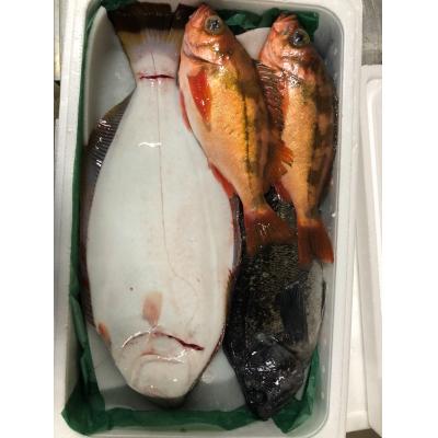 ふるさと納税 むつ市 【3月発送開始】おさかなマイスター厳選　冬の魚介類BOX　(S)