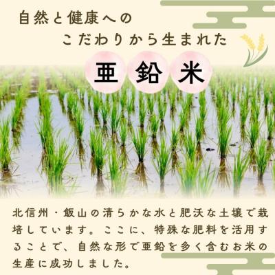 ふるさと納税 飯山市 【令和8年新米予約】飯山産 コシヒカリ 〜亜鉛米〜  無洗米 5kg 真空パック |  | 01