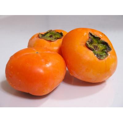 ふるさと納税 あきる野市 あきる野産　次郎柿　2kg