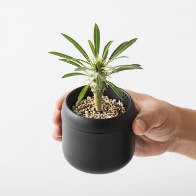 ふるさと納税 八尾市 プラントポット ハチ 2号/3号セット(D161) |  | 01