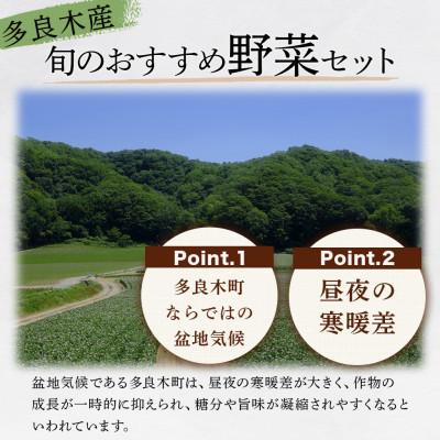 ふるさと納税 多良木町 【毎月定期便】野菜ソムリエ監修 旬のおすすめ野菜セット 4〜6種類(1〜2名様向け)全3回 |  | 01