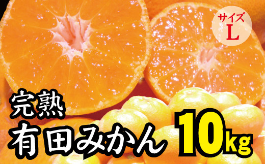 
【2022年秋以降発送予約分】【農家直送】完熟有田みかんLサイズ　約10kg 有機質肥料100% 先行予約 ※2022年11月中旬より順次発送予定（お届け日指定不可）
