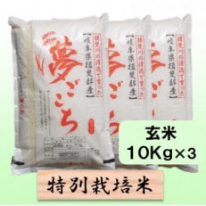 【令和6年産】特別栽培米 30kg【玄米】(夢ごこち)