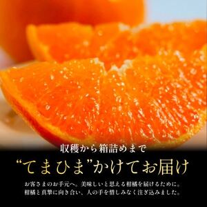 【数量限定】老舗農家が見極めたプレミアム【せとか3kg】柑橘の大トロ【愛媛県川上産】【D70-97】【1671350】