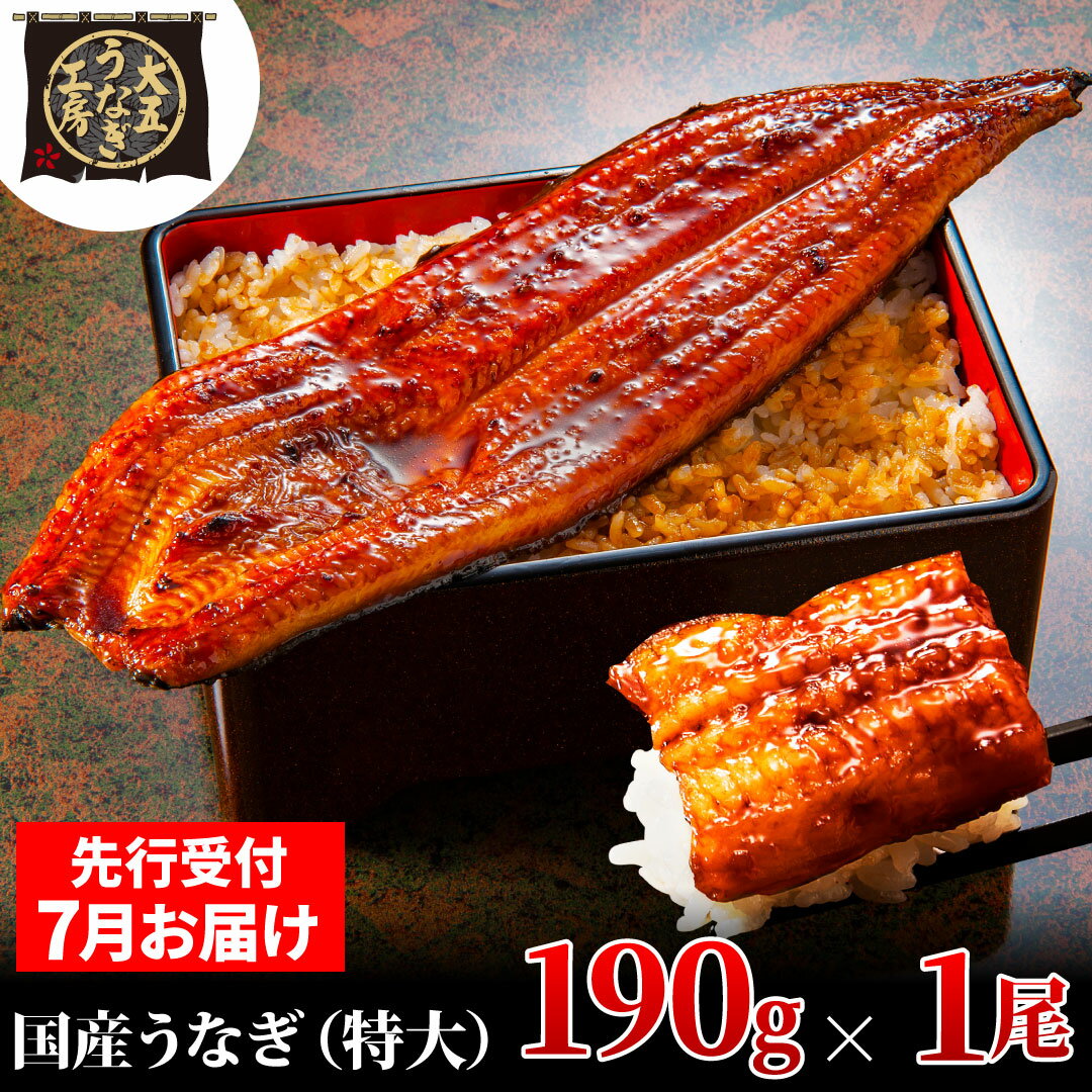 【ふるさと納税】先行受付 【7月上旬配送】 うなぎ蒲焼 190g×1尾 うなぎ 鰻 蒲焼 蒲焼き 大五通商 静岡 島田市　お届け：2025年7月1日～2025年7月10日