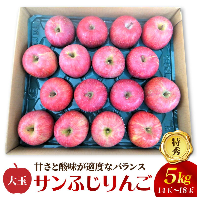 【ふるさと納税】 りんご（サンふじ）5kg 14～18玉 1段詰め 特秀品 果物 フルーツ 山形 産地直送 お取り寄せ 送料無料 山形県 上山市 0056-2632