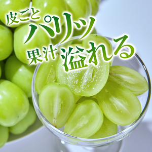 【2026年発送】シャインマスカット 訳あり家庭用 粒 にてお届け 約1kg
