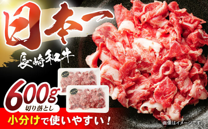 
            【最速発送】長崎和牛 切落し 300g×2パック /長崎県産 長崎和牛 牛肉 和牛 牛 切り落とし / 諫早市 / 有限会社長崎フードサービス [AHDD001]  最速 最短 スピード 発送
          