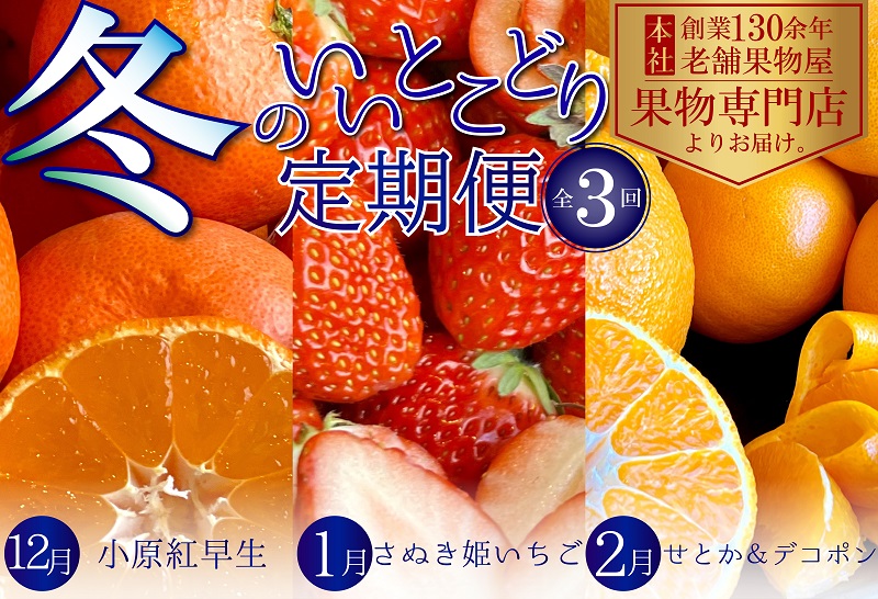 冬のいいとこどり定期便【全3回】 果物 フルーツ デザート 
