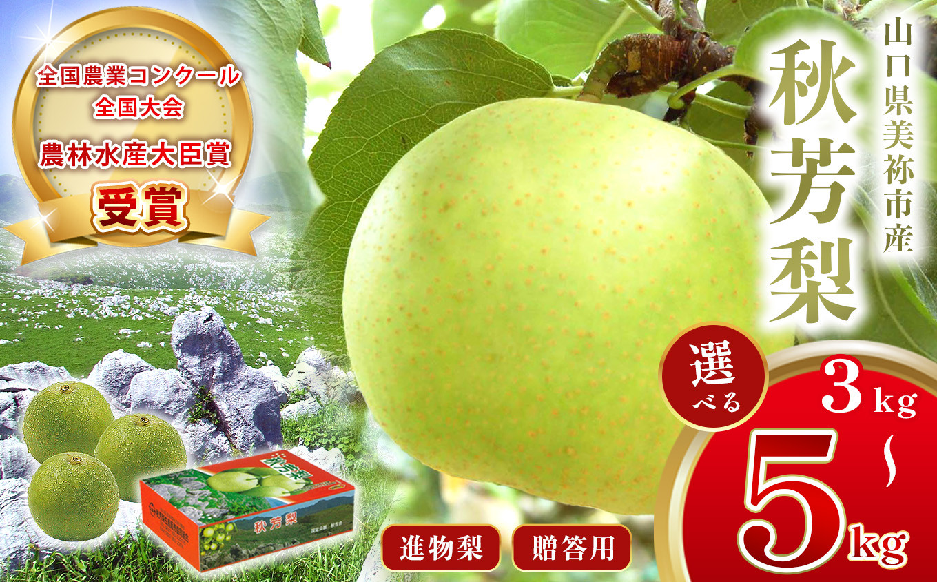 
            美祢市産 秋芳梨 ( 進物梨 ) 3kg 5kg 先行予約 〈2025年8月下旬より順次発送予定〉 ｜ 二十世紀 なし 梨 フルーツ 特産品 美祢市 山口県 美祢 秋芳町 秋芳 秋芳梨 進物 進物梨 贈答 果物 くだもの 果実 カルスト台地 先行予約 期間限定 3kg 5kg
          