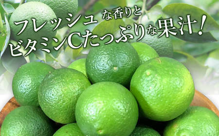 大分県産 かぼす 約 1.8kg | カボス 柑橘 かんきつ 柑橘類 果物 くだもの ビタミン フレッシュ 九州産 国産 大分県 中津市【発送は2026年8月中旬～2026年10月10日頃までの予定】