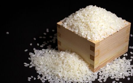 【令和7年産新米予約】新之助 1kg 早川の清流が育んだ美味しいお米 新潟県糸魚川産 2025年 磯貝農場【しんのすけ 米 お米 こめ ご飯 ライス ふるさと納税米 食品 人気 おすすめ お弁当 おに