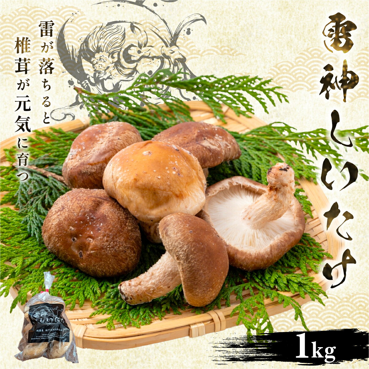 【ふるさと納税】【先行予約 11月初旬から順次発送】千葉県大網白里市産「雷神しいたけ」1kg ふるさと納税 人気 おすすめ ランキング しいたけ 椎茸 きのこ キノコ 菌床 生しいたけ 肉厚 ふるさと納税 千葉 大網白里 BC001